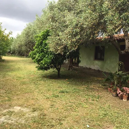 Ampia Casa Padronale Cod Iun P3279 펜션 *